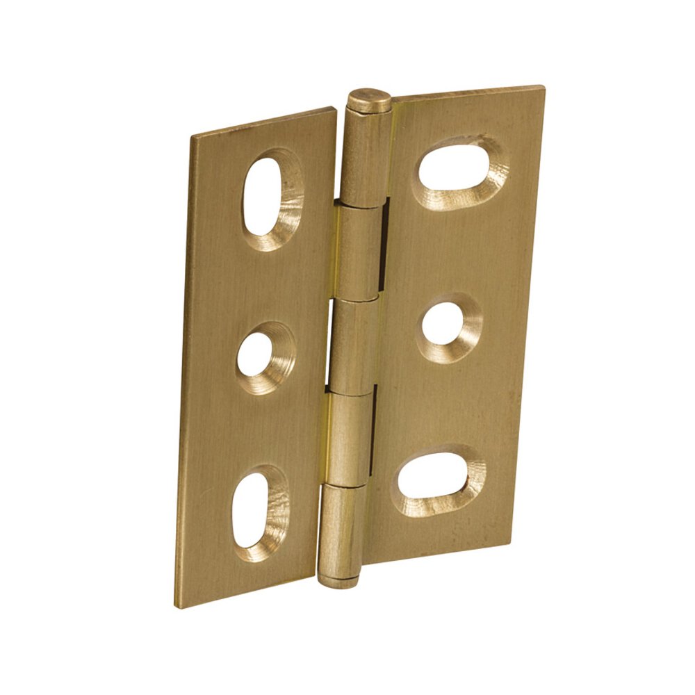 Mortised Decorative Butt Hinge with Button Finial in Brushed Brass